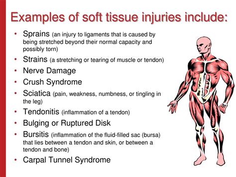 soft tissue injury fact sheet